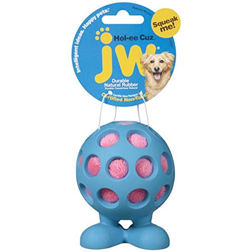 JW Pet Cuz Holee Dog Toy Review Blind Dog Toys