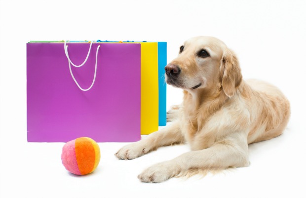 toys for blind dogs