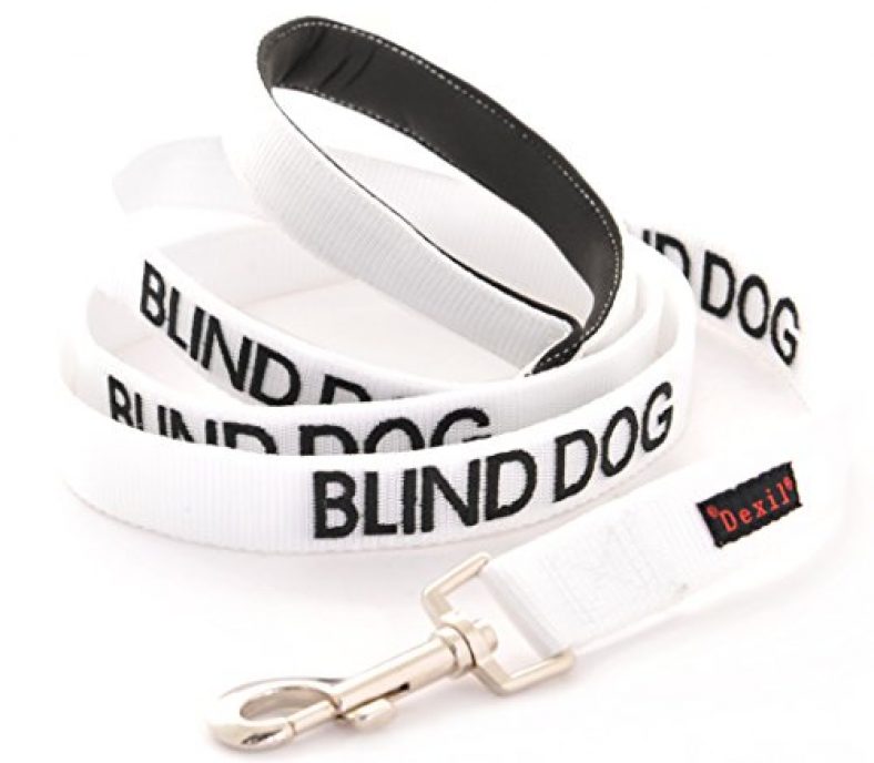 Blind Dog White Color Coded Alert Leash Blind Dog Toys