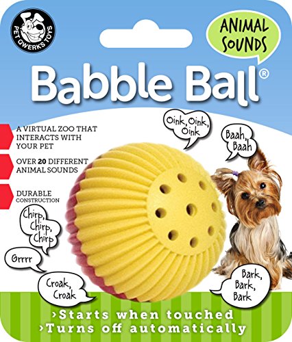 babble ball for dogs