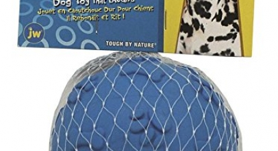 JW Pet Giggler Ball Dog Toy Review